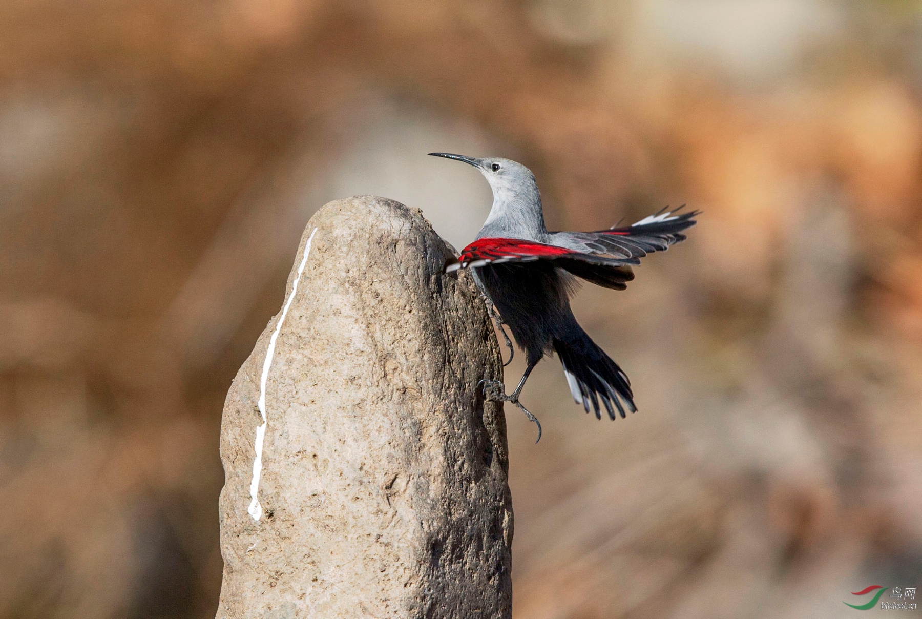 BW4Q3442 - ����.jpg