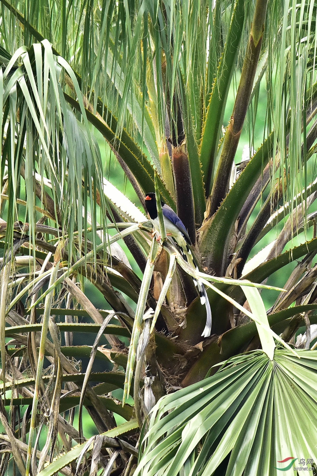 DSC_1045.JPG