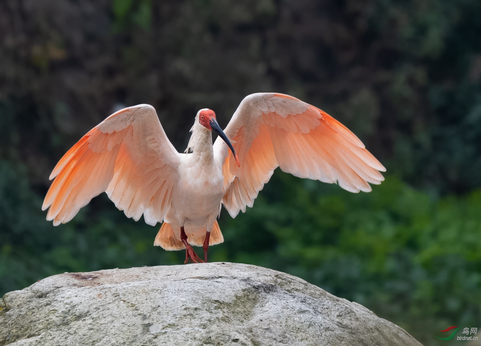 DSC_4321.jpg