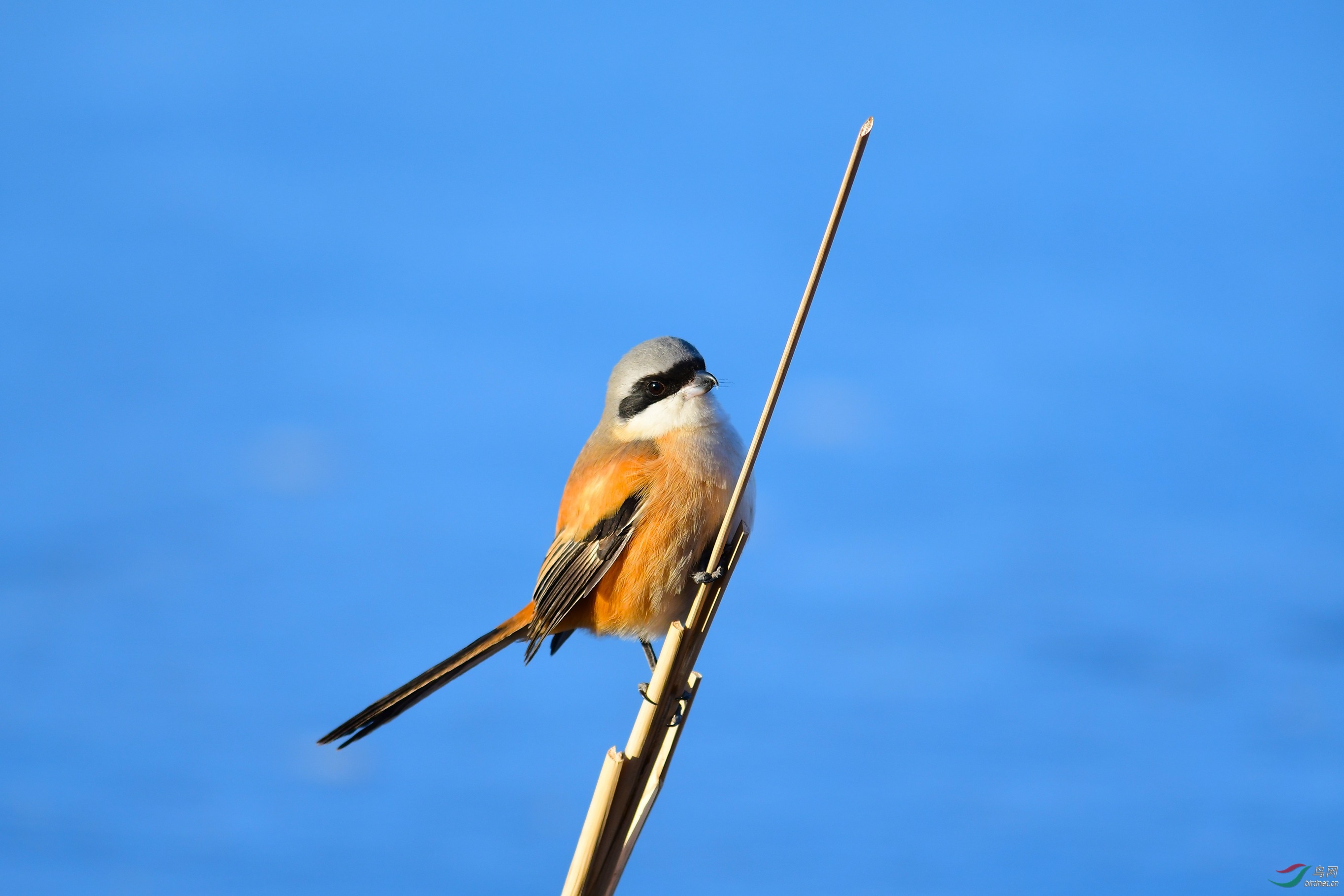 DSC_0306.JPG