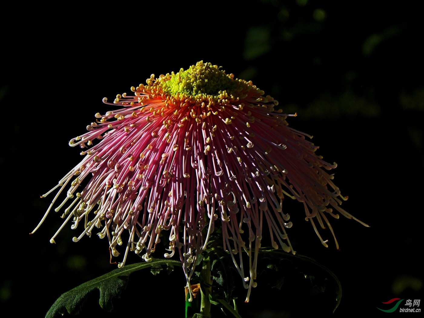 DSCN2962.JPG