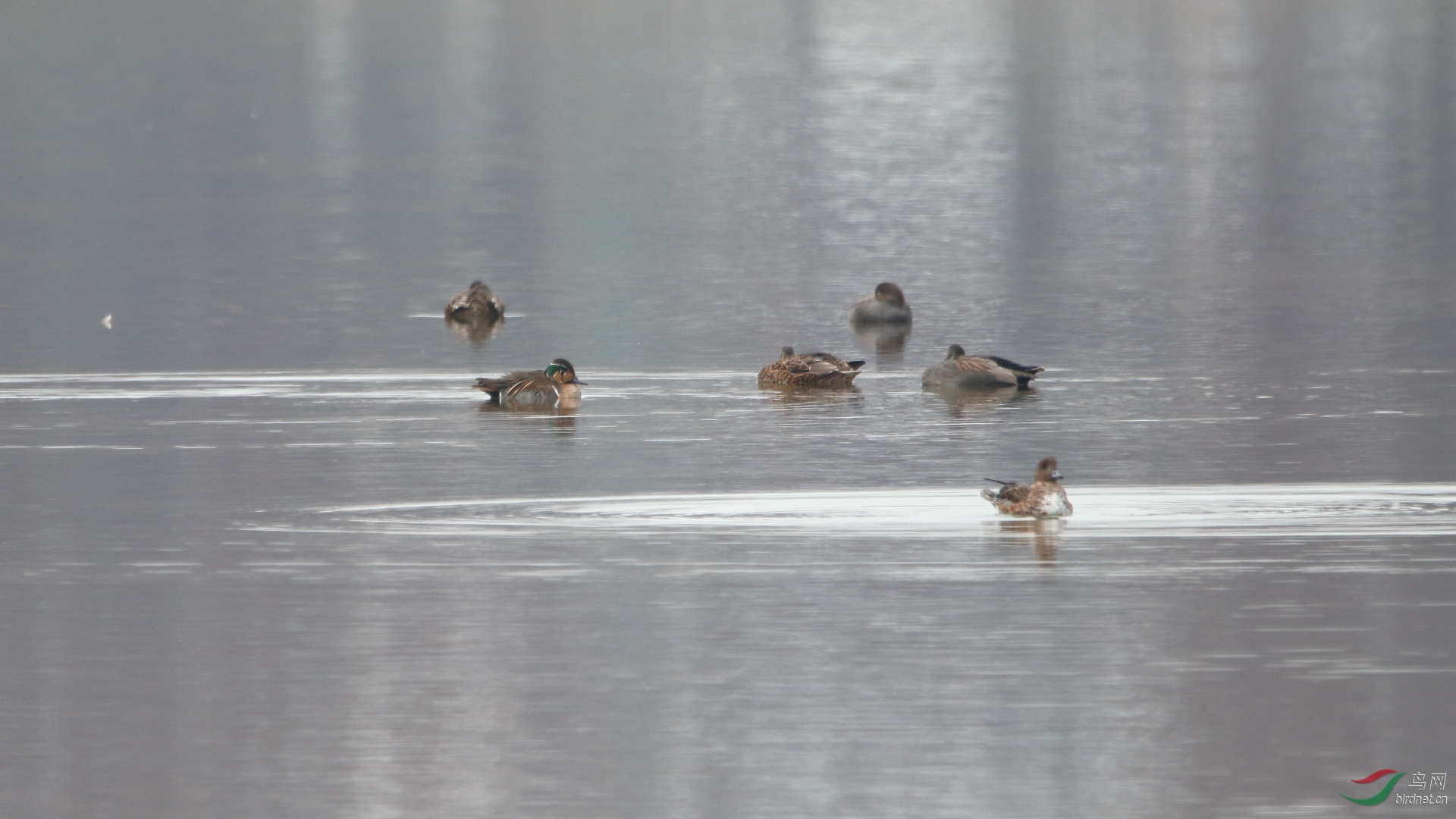 IMG_5830.JPG