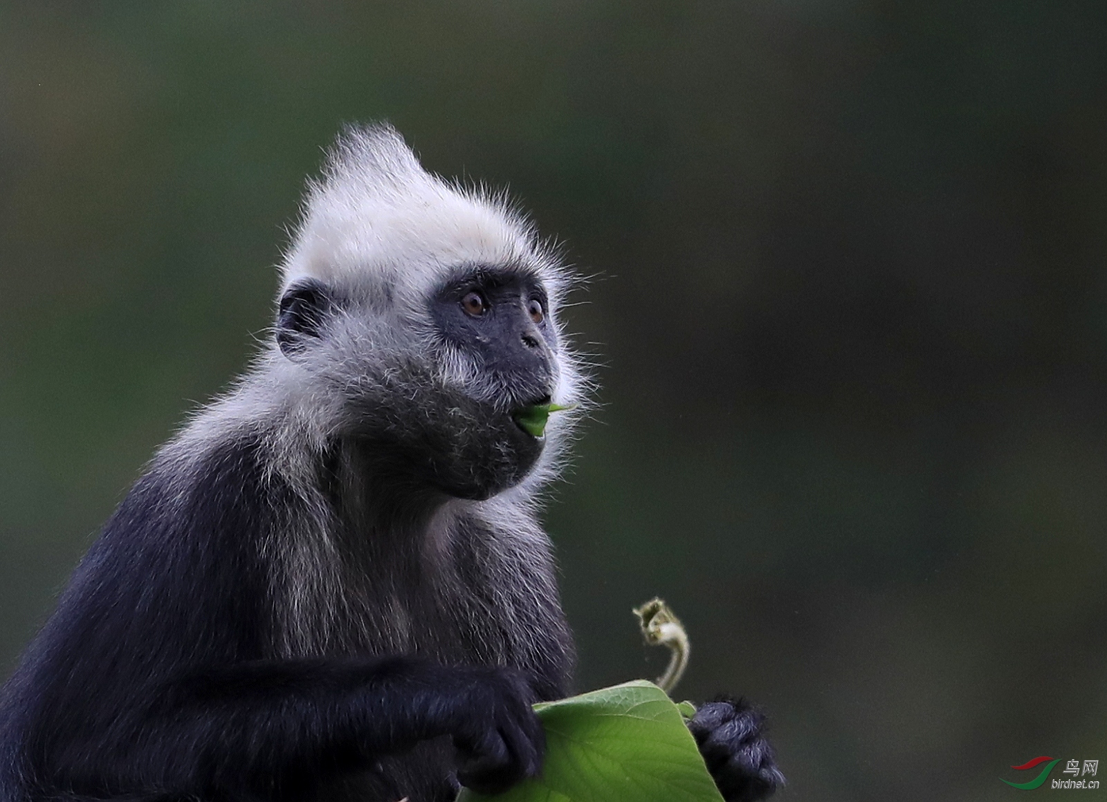 AI0I9584 - ���� (2).JPG