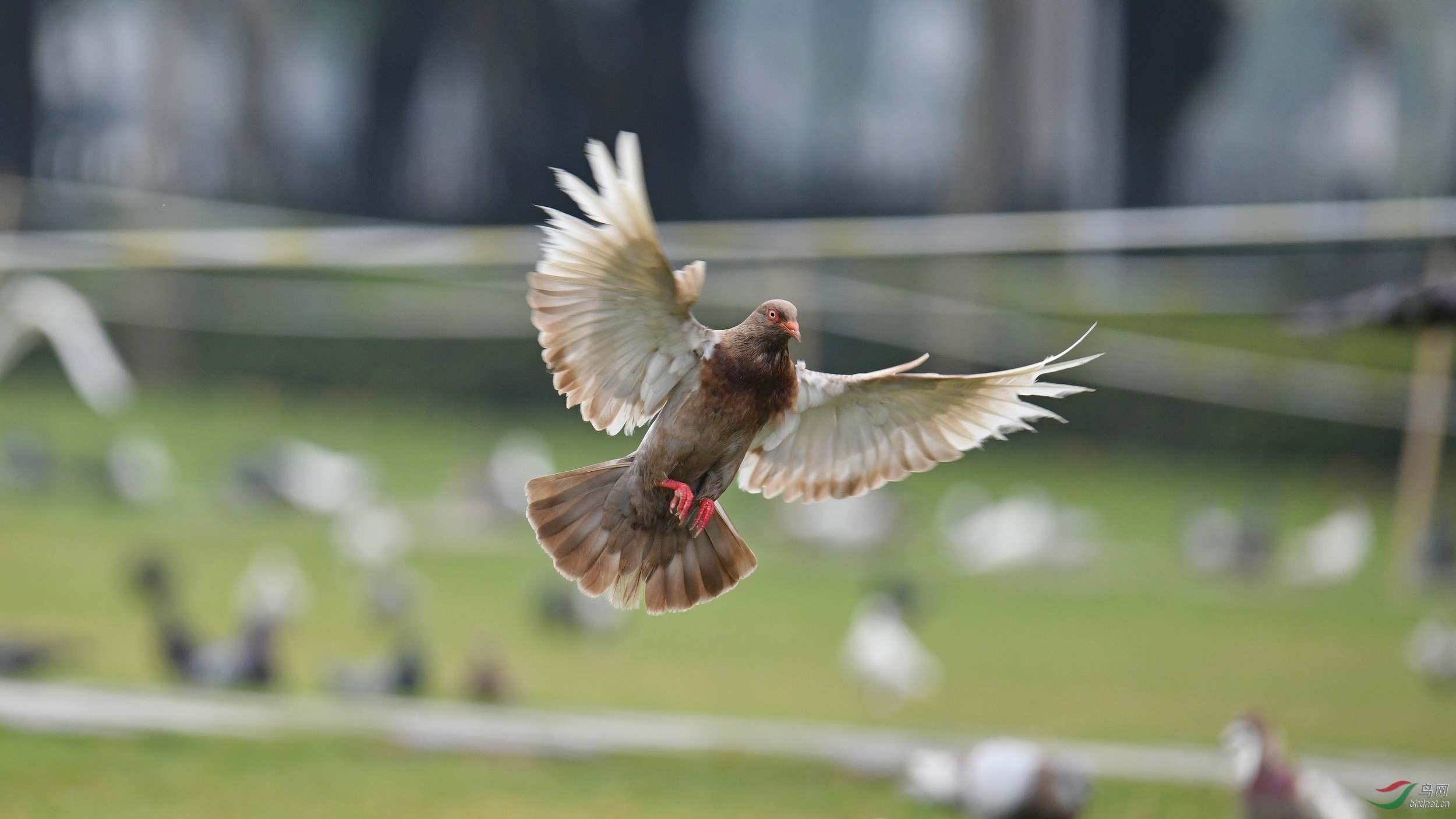 2019-05-09_����-028 Сͼ.jpg