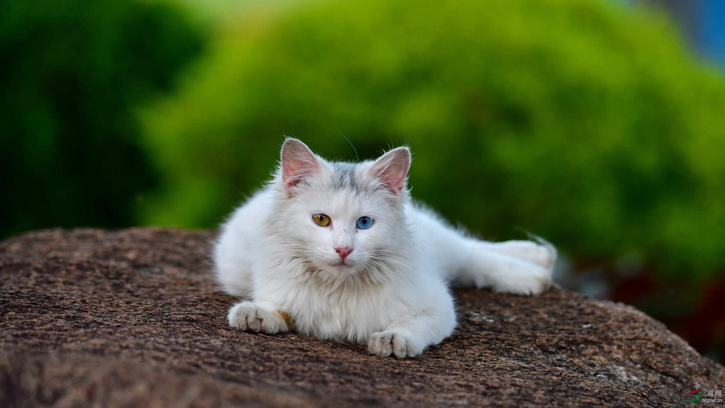 2019-05-14_����-085 Сͼ.jpg