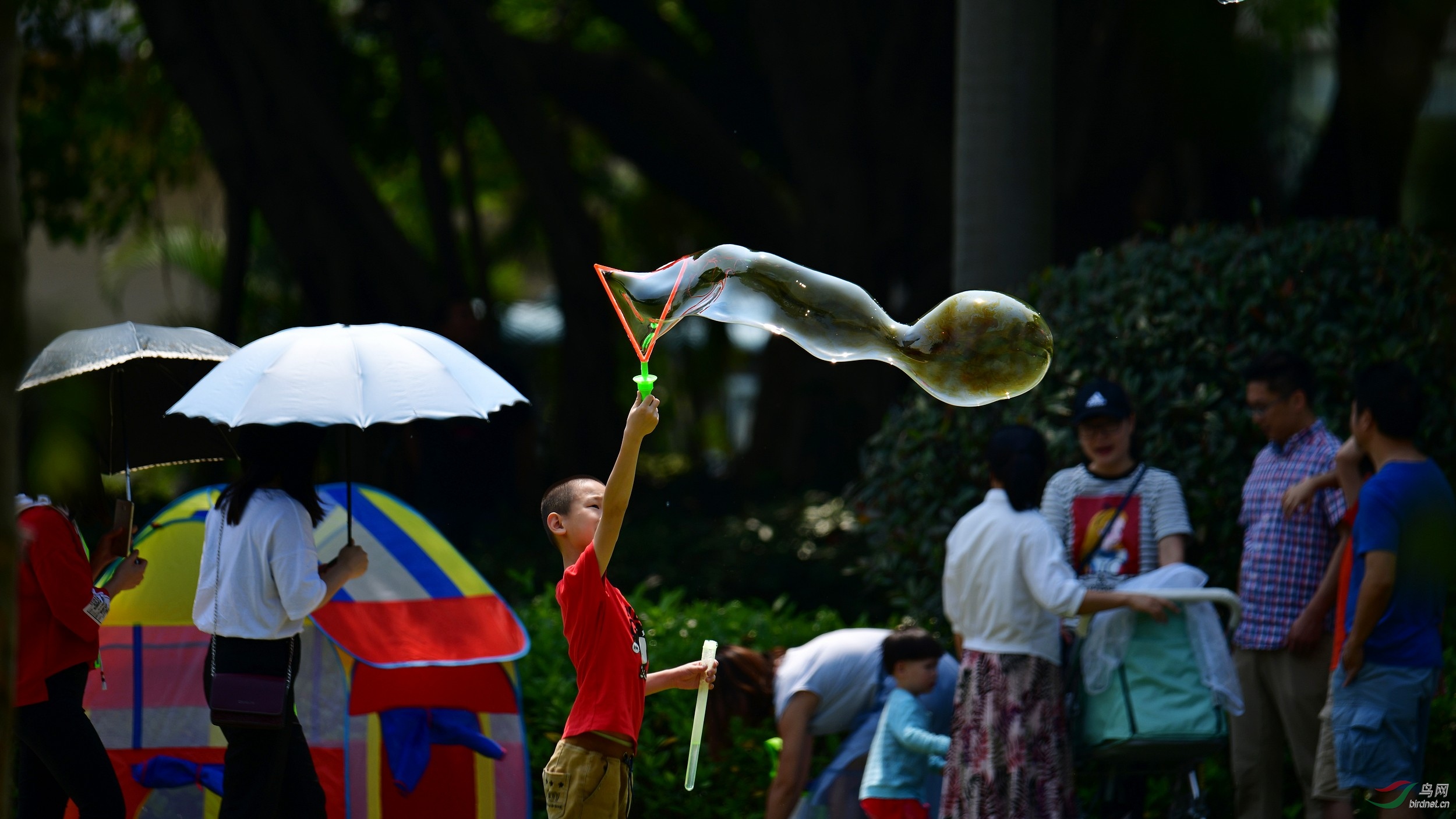 2019-05-12_����-0803 Сͼ.jpg