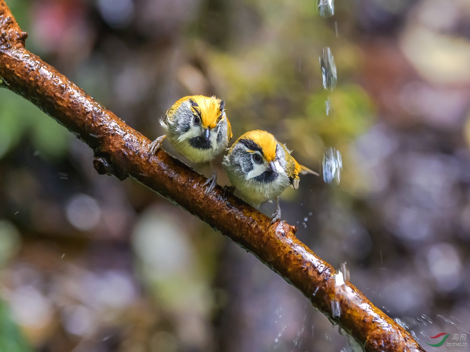 DSC_1045.jpg