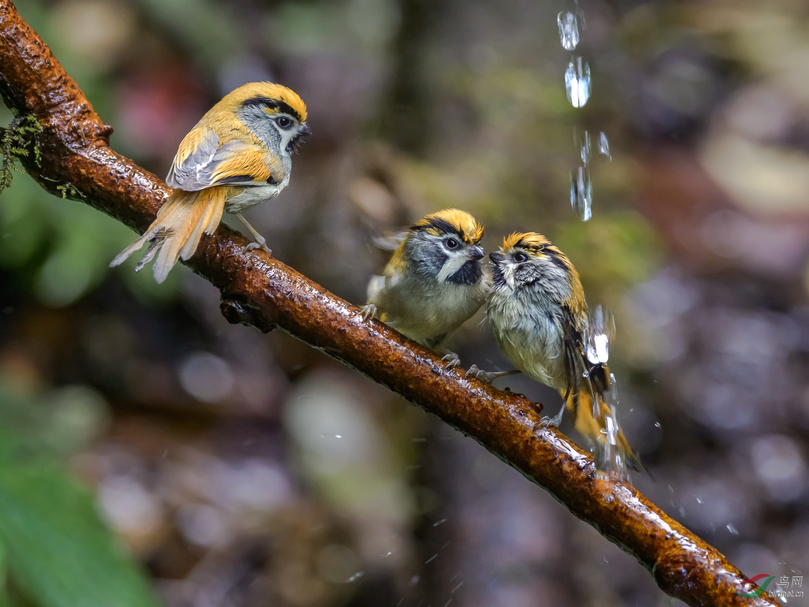 DSC_1051.jpg