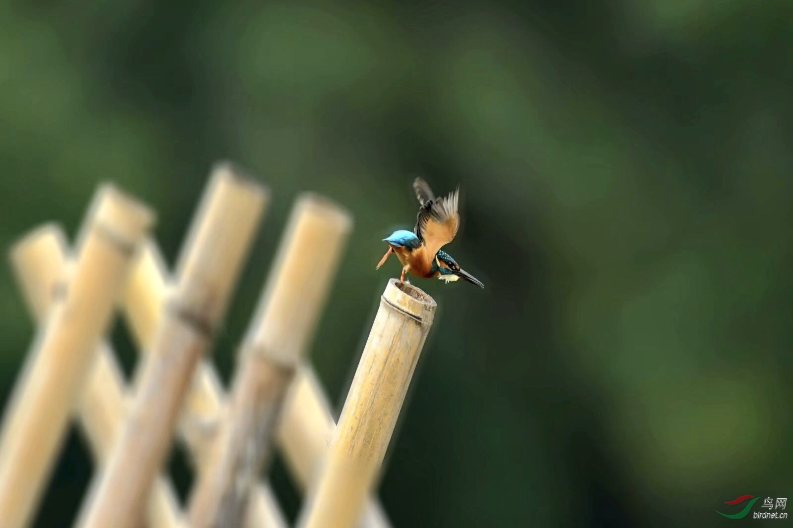 9E213F25-E4C2-4713-BBEE-8A9BF2EE8F39.jpeg