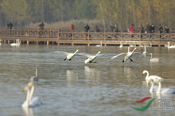_E8J0550.jpg