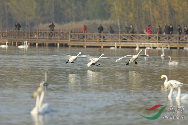 _E8J0549.jpg