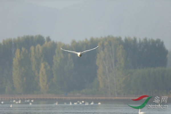 _E8J0558.jpg