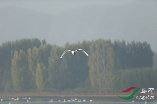 _E8J0560.jpg