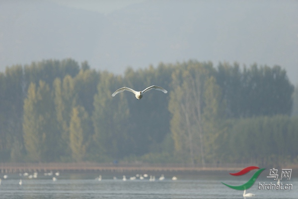 _E8J0557.jpg