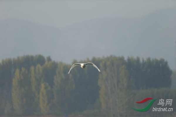 _E8J0563.jpg