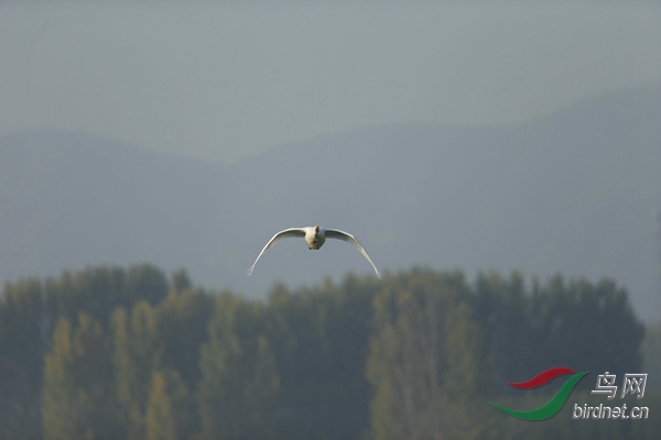 _E8J0566.jpg