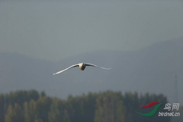 _E8J0575.jpg