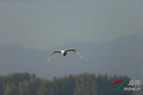 _E8J0576.jpg
