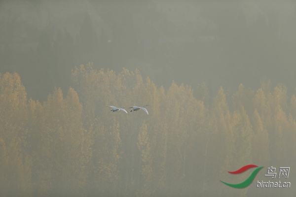 _E8J0589.jpg