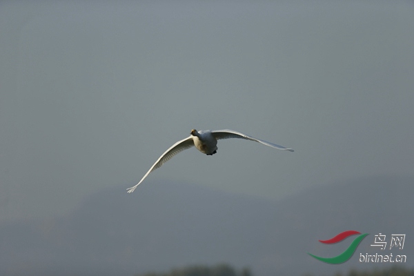 _E8J0585.jpg
