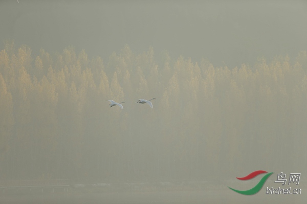 _E8J0592.jpg