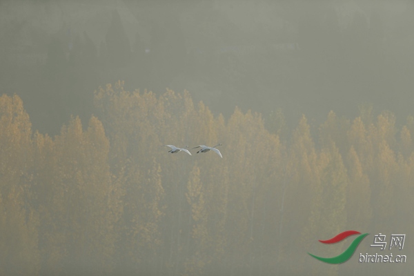 _E8J0590.jpg