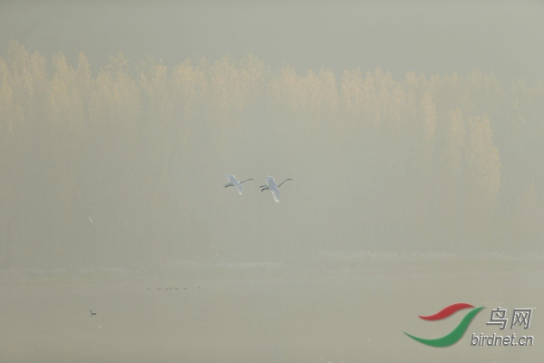_E8J0595.jpg