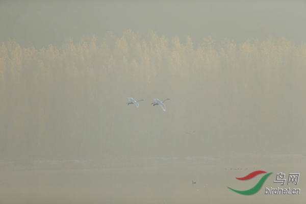 _E8J0593.jpg
