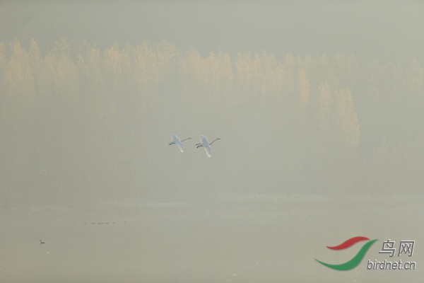 _E8J0596.jpg