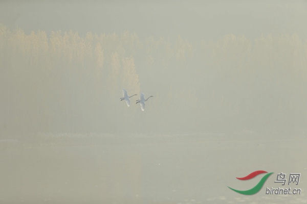 _E8J0597.jpg