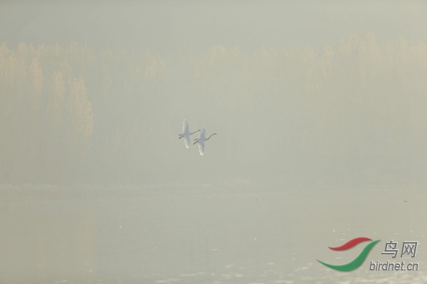 _E8J0599.jpg