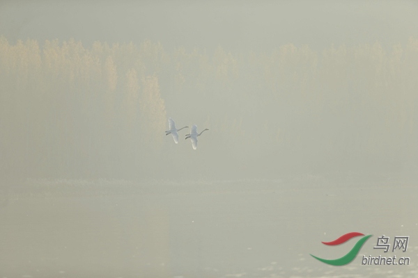 _E8J0598.jpg