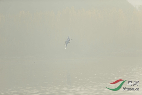 _E8J0602.jpg