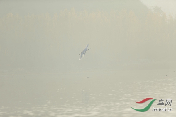 _E8J0604.jpg