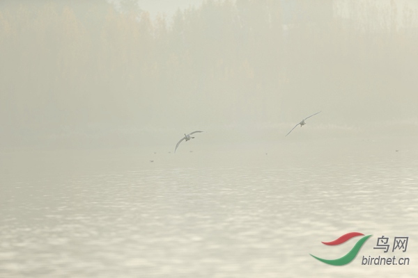 _E8J0610.jpg