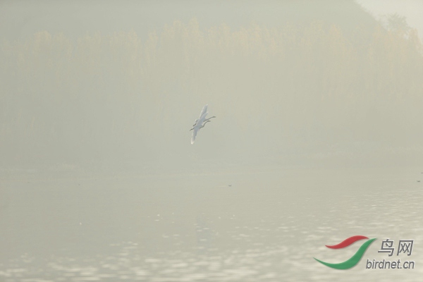 _E8J0603.jpg