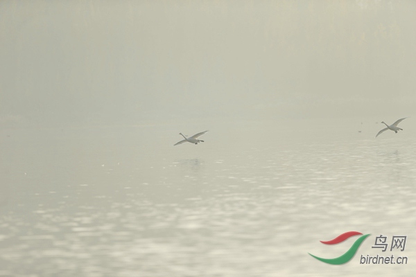 _E8J0616.jpg