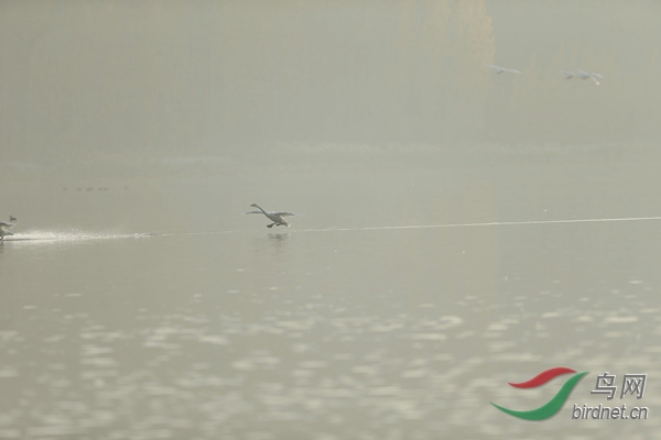 _E8J0625.jpg
