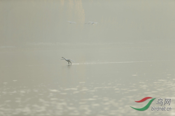 _E8J0620.jpg