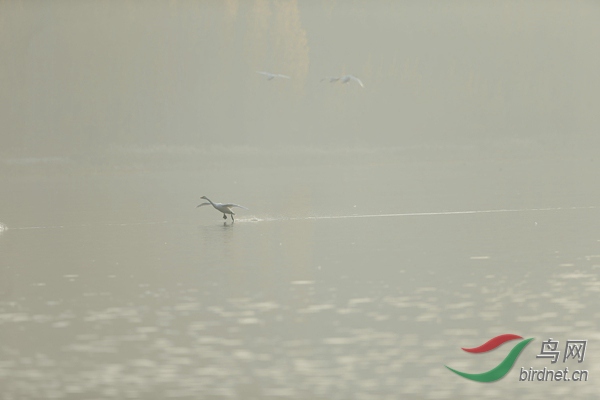 _E8J0621.jpg