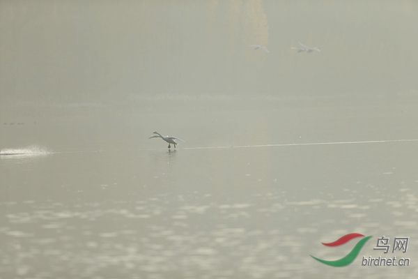 _E8J0623.jpg