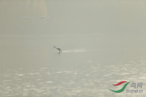 _E8J0618.jpg