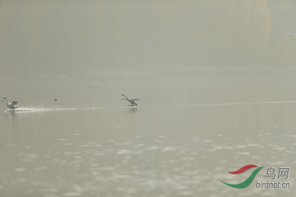 _E8J0628.jpg