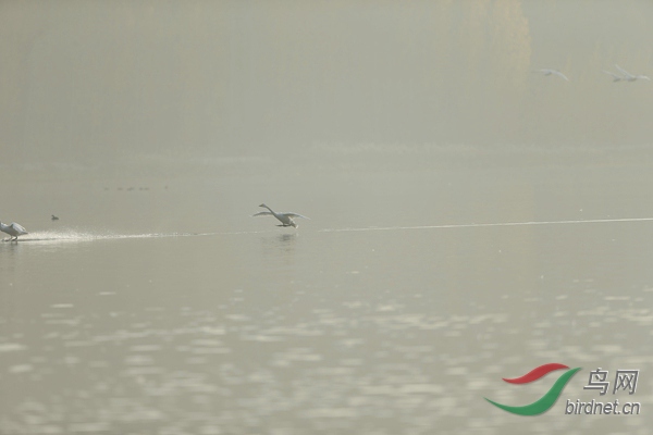 _E8J0626.jpg