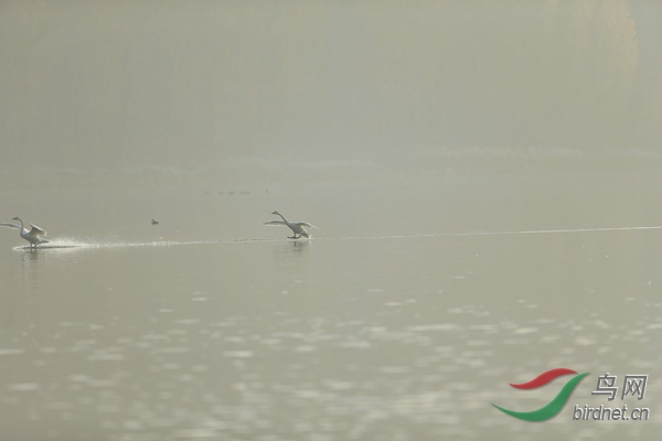 _E8J0629.jpg
