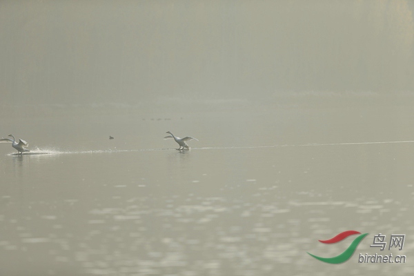 _E8J0630.jpg