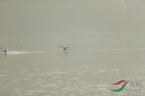 _E8J0627.jpg