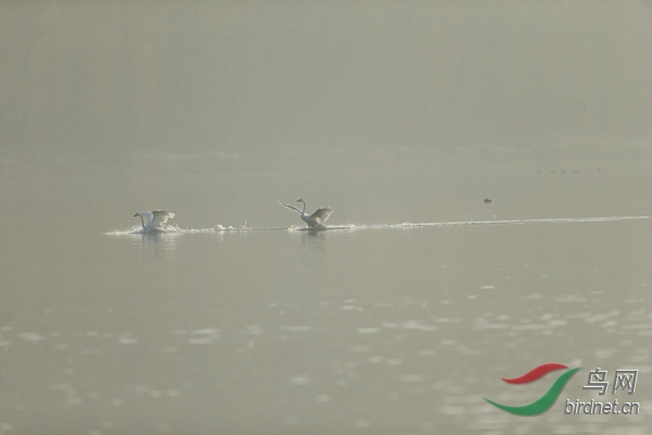 _E8J0638.jpg