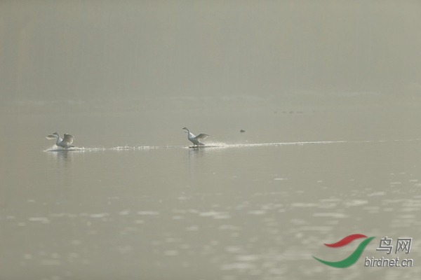 _E8J0633.jpg