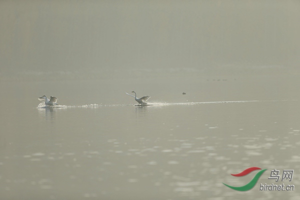 _E8J0634.jpg